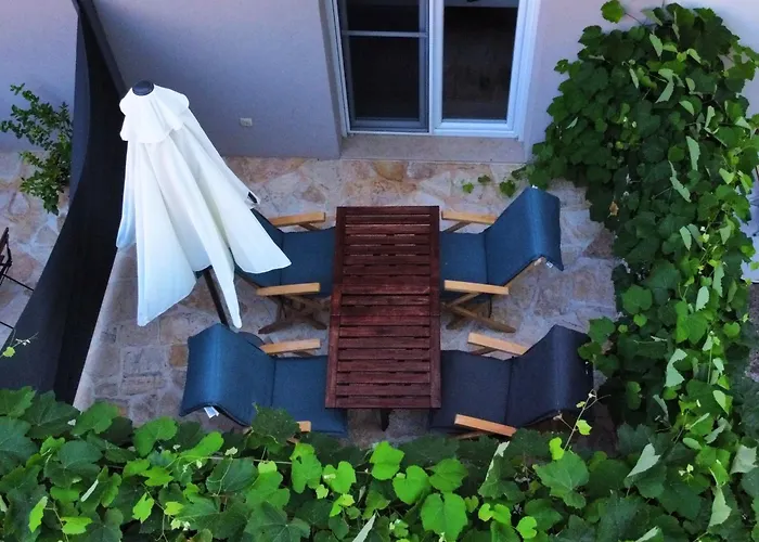 Pineapple * ザダル